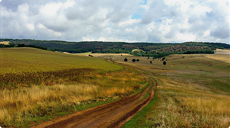 Пейзаж Тульской области — место фермы «Коровушкино»